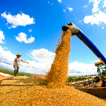 Agronegócio ajudou a impulsionar o PIB do primeiro trimestre. Imagem referente a matéria