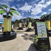 Imagem referente a matéria