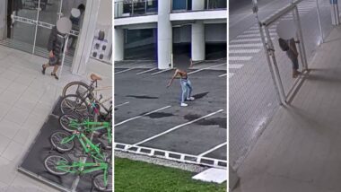 Imagem referente a matéria