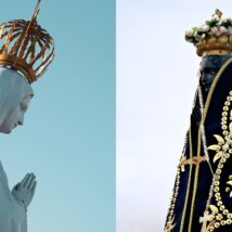 Imagem referente a matéria