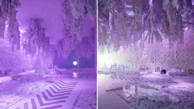 Exposição no pavilhão do Brasil na Expo Osaka 2025, organizado pela ApexBrasil Imagem referente a matéria