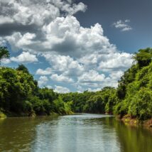 Gesto histórico cumpre parte de acordo homologado pelo STF e é considerado pela gestão federal petista como um marco na política de reparação aos povos indígenas. Imagem referente a matéria