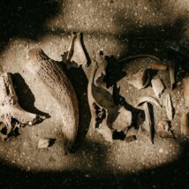 Principais descobertas feitas por arqueólogos no ano de 2025. Imagem referente a matéria