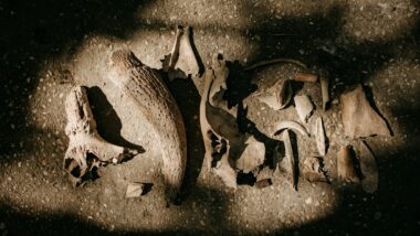 Imagem referente a matéria