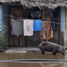 Bairro alagado na cidade de Cauto Cristo, em Cuba, após a passagem do furacão Melissa Imagem referente a matéria