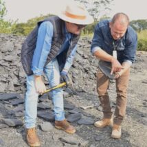 Fósseis mais antigos que dinossauros paralisam obra no Paraná A descoberta de fósseis do Mesosaurus brasiliensis, mais antigos que dinossauros, no interior do Paraná, conecta o presente da engenharia ao passado profundo da Terra, onde os continentes ainda eram um só.