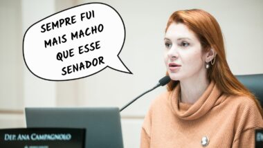 Deputada Ana Campagnolo é destaque nesta edição do Frases da Semana. Imagem referente a matéria