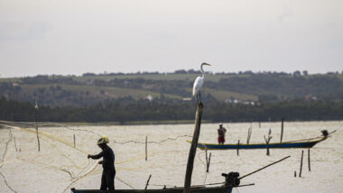 Imagem referente a matéria