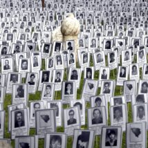 Imagem referente a matéria