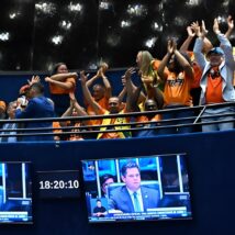 STF e Congresso estão minando a reforma da Previdência de Bolsonaro Agentes comunitários de saúde comemoram nas galerias do Senado a aprovação do PLP 185/2024, que altera regras da Reforma da Previdência