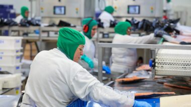 O potencial de destinação do tributo para Santa Catarina em 2024 era de R$ 1,33 bilhão, sendo R$ 860 milhões de empresas e 470 milhões de pessoas físicas. Imagem referente a matéria