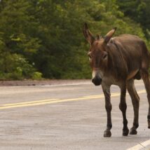 Imagem referente a matéria