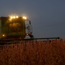 De toda a produção do setor agro no Paraná, 64% vem das cooperativas agropecuárias. Imagem referente a matéria